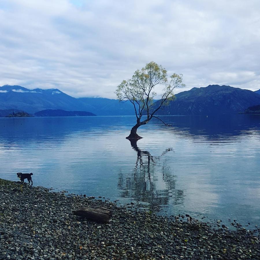 Alto On Hedditch Wanaka Zewnętrze zdjęcie